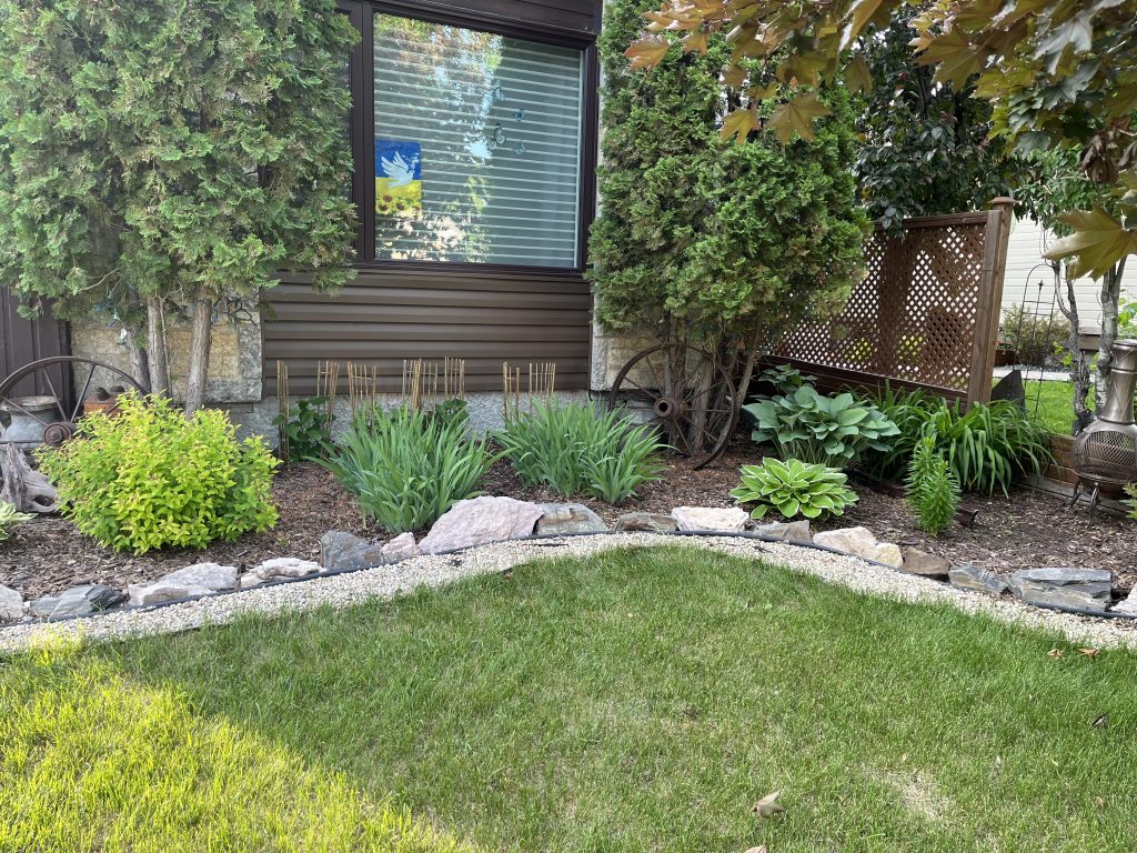 9cb01163 bcdd 48e0 8f03 f5bf5e9c7510